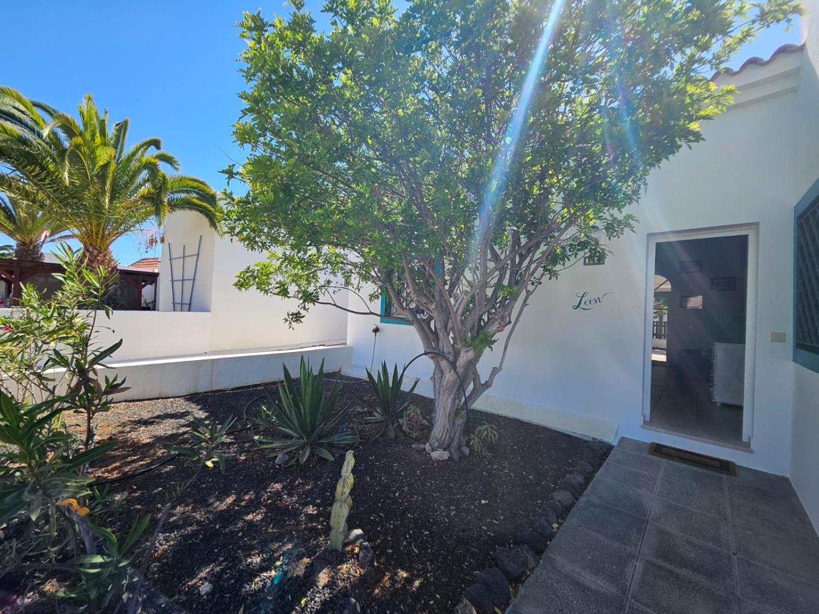 קלטה דה פוסטה Villa Leon מראה חיצוני תמונה